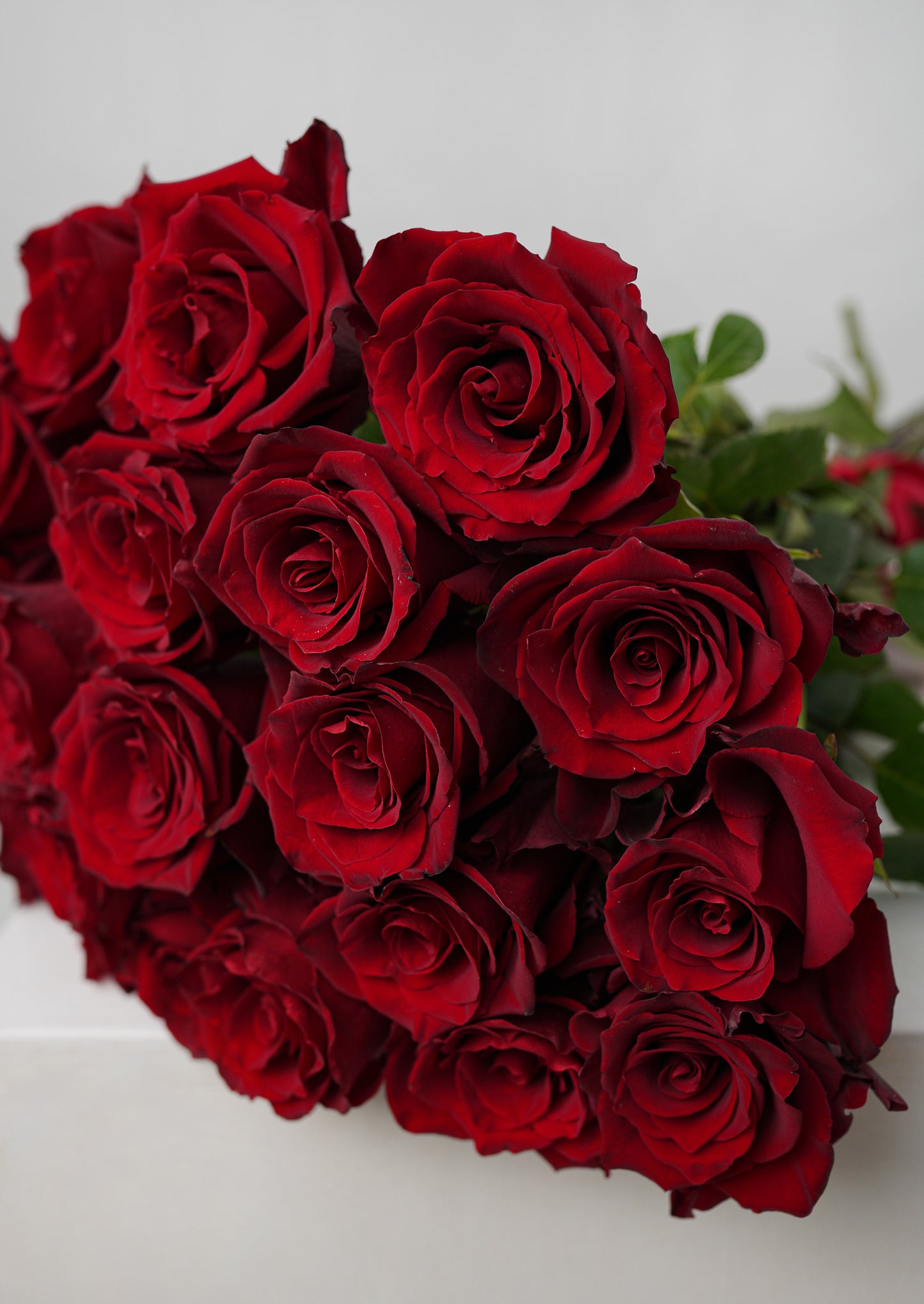 Red roses