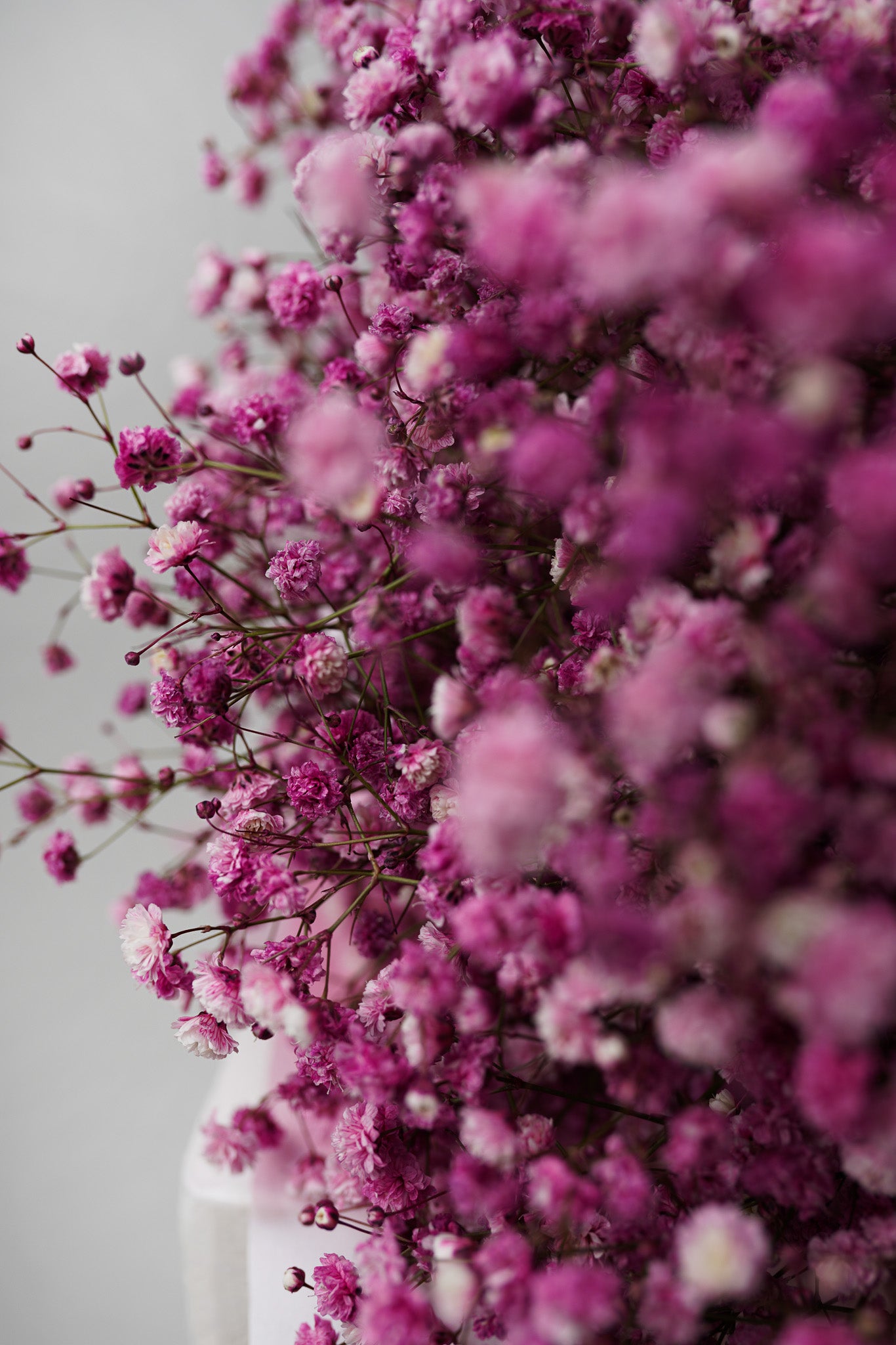 Gypsophila bouquet