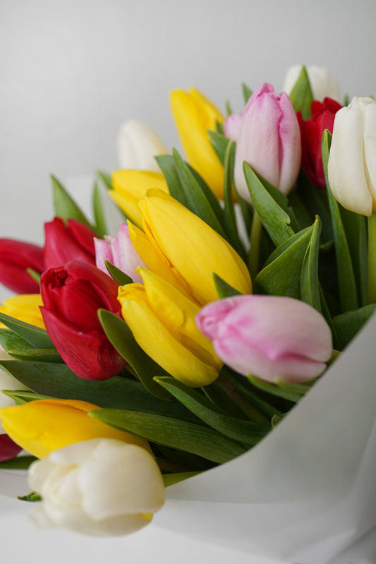 Tulip mix