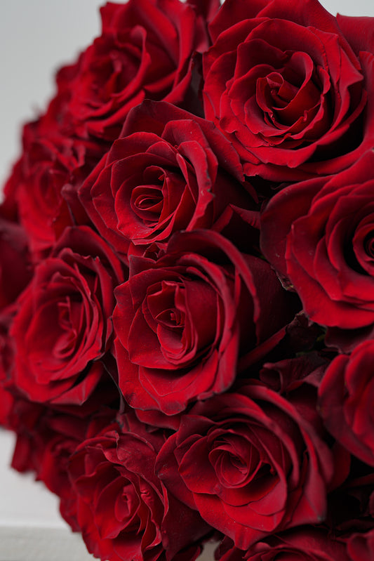 Red roses