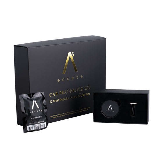 Car air freshener gift set TOP 12 fragrances